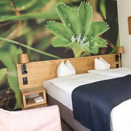 ホテル ガルニ チェーサ ムーリン ポントレジナ