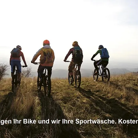 Garni Chesa Mulin 3*