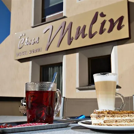Отель Garni Chesa Mulin Понтрезина