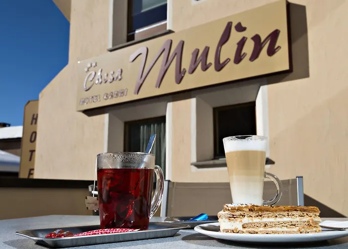 Hotel Garni Chesa Mulin 3*